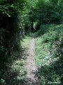 Le passage l'Héritier laisse place à un chemin de forêt...